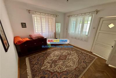 CASA BATRANEASCA - 2.656 MP TEREN - ROMANESTI, PRAHOVA - 8