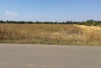Teren de 5000 mp intravilan în Corbeanca – zonă rezidențială nouă Teren de 5000 mp intravilan în Corbeanca – zonă rezidențială nouă - 2