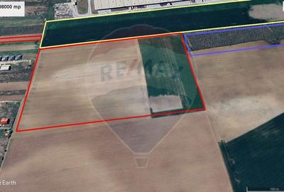 Teren Construcții intravilan de 98709 mp, în Bâcu - 3