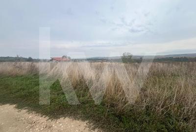 Oportunitate de Investitie - Teren intravilan 4.270 mp cu PUZ  Ocna Sibiului - 4