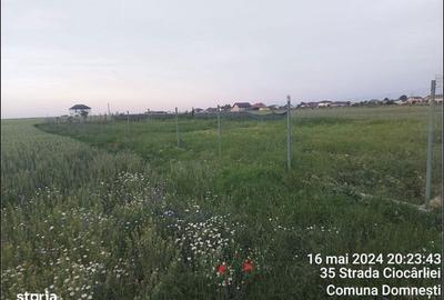 Teren de 1000 mp, în Domnești - 6