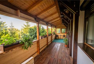 FILM! Pachet complet pt turism si sau rezidenta, Tohanita, Z - 31