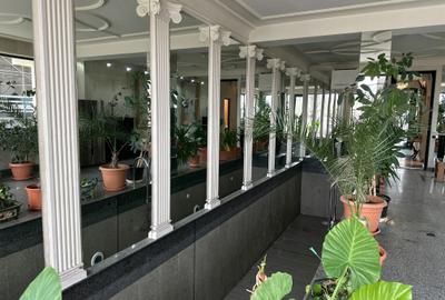 Reședință exclusivistă pe malul lacului - Exclusive Residence on the Lakefront - 27