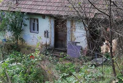 Teren de 11650 mp, în Valea Borcutului - 1