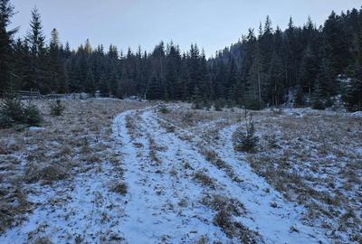 Teren de 3948 mp, în Breaza - 4