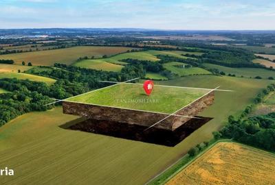 Spațiu comercial, în Rudicica - 1