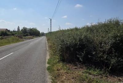 Teren Construcții intravilan de 406 mp, în Lazuri - 3