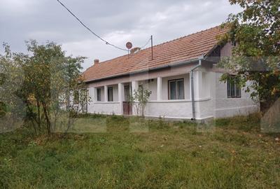 Casa taraneasca in centru Hatuica - 1