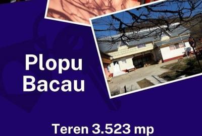 Casă cu 4 camere în Plopu - 4
