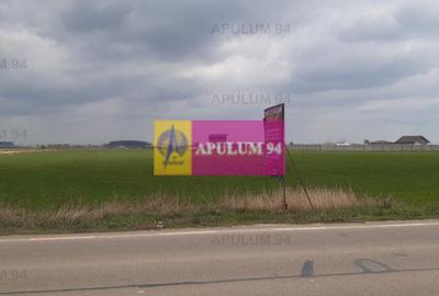 Teren Construcții intravilan de 5110 mp, în 1 Decembrie - 8