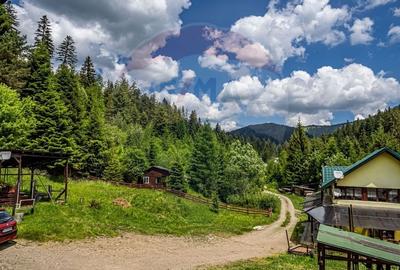 Casă individuală cu 20 camere cu Teren 10330 Mp în Central - 19