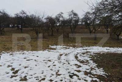 Teren de 1268 mp, în Mihai Viteazu - 1