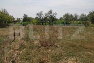 Casă cu 4 camere cu Teren 2300 Mp în Vârvor - 1