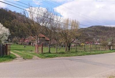 Casa si 3919 mp teren intravilan  in  Bucuresci, jud. Hunedoara - 4
