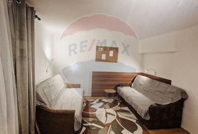 Apartament cu 1 camere de inchiriat in zona Semicentrala - 3