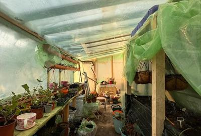 Casă cu Teren 2900 Mp în Trestia - 5