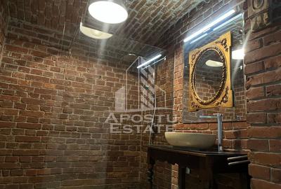 Apartament cu 3 camere demisol+ parter, Ultracentral - 11