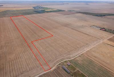 FRUMUSANI - PASAREA, TEREN 14420 MP, FRONT 40 M! - 10