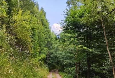 Proprietar, vand teren intravilan cu priveliste asupra Muntilor Bucegi - 7