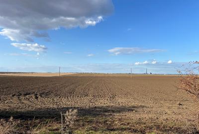 COMISION 0% - Teren Extravilan 10.000mp - Cumpana COMISION 0% - Teren Extravilan 10.000mp - Cumpana - 6