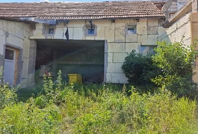 Teren de 3500 mp, în Sângeorzu Nou - 2
