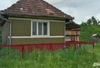 Vand casa in satul Nasal judetul Cluj Napoca , curte si gradina, total suprafa?a 22 de arii - 4