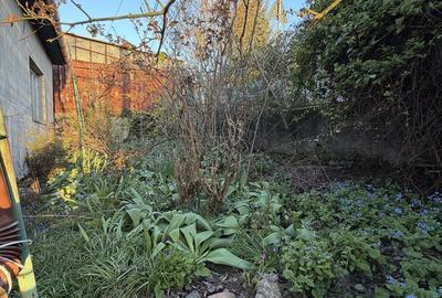 Casă cu 3 camere în Gruia - 1