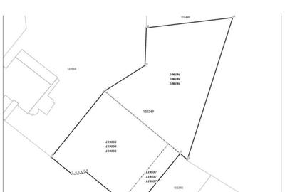 Teren Construcții intravilan de 1774 mp, în Iancu Nicolae - 2