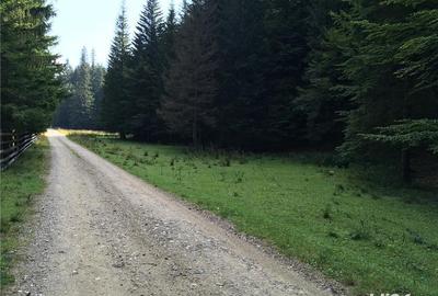 Teren de 3825 mp, în Vama Buzăului - 7