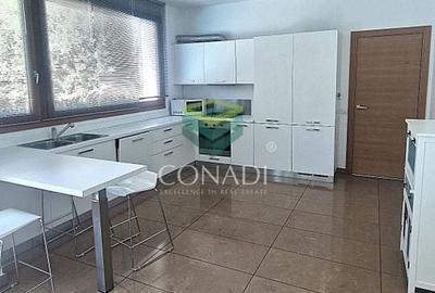 Iancu Nicolae, vila de inchiriat, 5 camere - 5