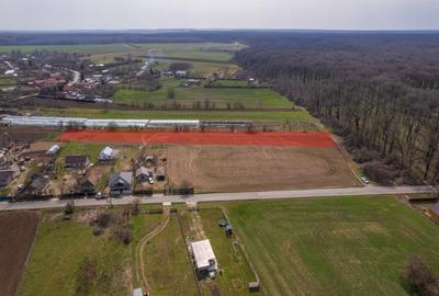 Teren Construcții intravilan de 3876 mp, în Balta Neagră - 8