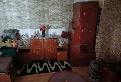Casă cu Teren 3000 Mp în Stolnici - 2