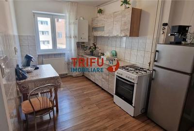 Apartament cu 2 camere semidecomandat în Cetate - 2