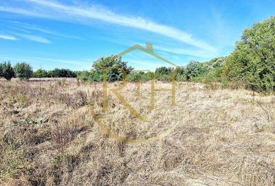 Teren agricol extravilan de 11273 mp, în Plopi - 1