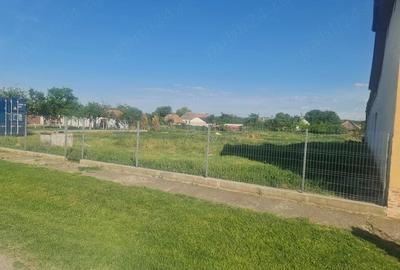 Teren de 3084 mp, în Pustiniș - 2