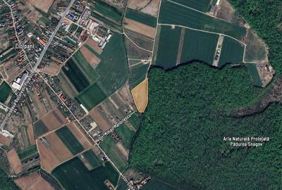 Ideal Forest -vindem LOT 31 - 716 m2 - 4