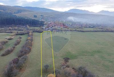 Teren de 5800 mp, în Purcăreni - 9