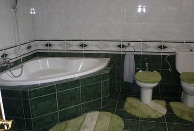 Vanzare vila/casa de vacanta - 14