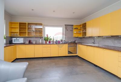 Casa / Vila cu 10 camere, de vanzare. Todireni, Botosani. - 18