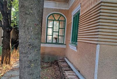 Casă cu 4 camere cu Teren 2500 Mp în Nicolae Bălcescu - 4