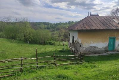 Casă cu Teren 1450 Mp în Izvoru (Valea Lungă) - 2