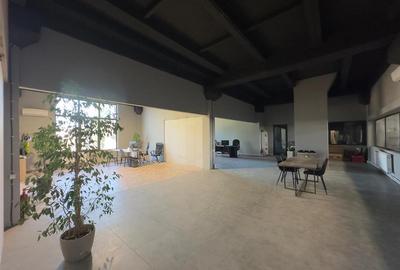 Spațiu industrial, de 4,482 mp, în Baza 3 - 3