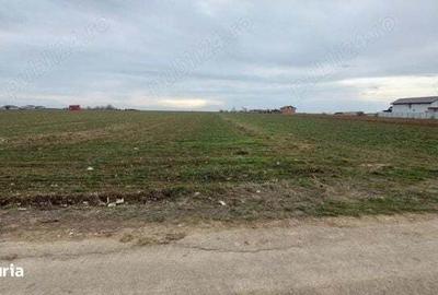 Teren de 5750 mp, în Adunații-Copăceni - 1