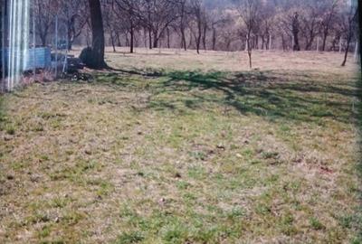 Teren de 3000 mp, în Adunați - 5