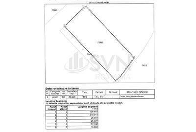 REL4001203 Oportunitate I Teren Intravilan 30.000 mp I Racari I Dambovita - 2