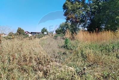 Casă individuală cu 4 camere cu Teren 3370 Mp în Central - 22