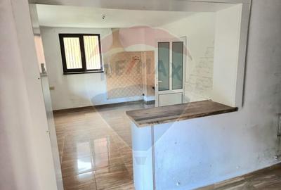 Casa / Vila cu 7 camere de vanzare - 15