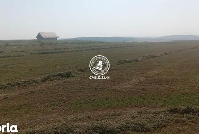 Teren de 6600 mp, în Rediu - 1