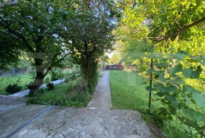 Casa solida de vanzare 120mp, 1840mp teren la strada principala Paun - 2