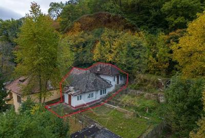 Casa pentru investitie in centru/Teren 130m - 1